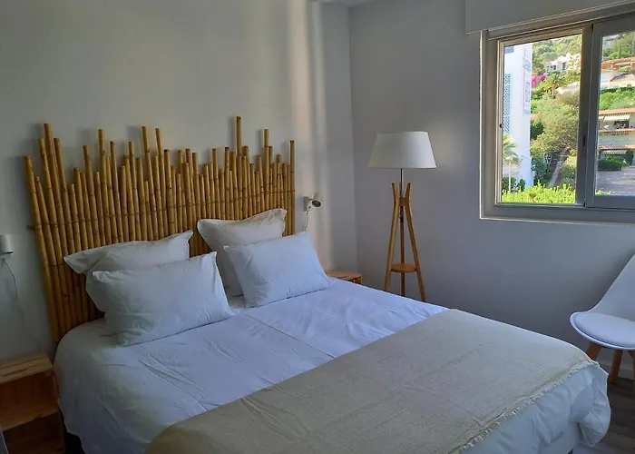 Vue Exceptionnelle 르 라방두